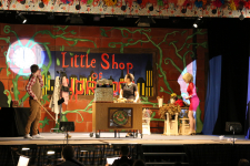 Little Shop of Horrors 241